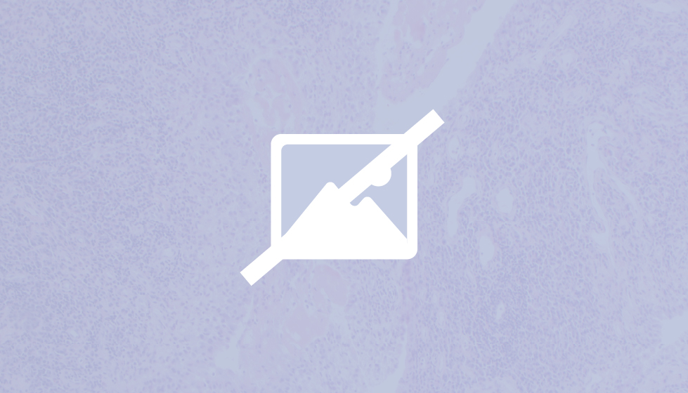 Como enviar materiais para postagem e compartilhamento no site das Ligas