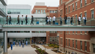 Ligas Acadêmicas como ponte entre a universidade e o mundo real: a Patologia que transforma vidas